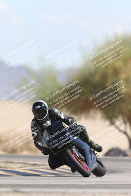 media/Oct-13-2025-Moto Forza (Mon) [[a66d839500]]/3-B Group/Session 4 Turn 4 Tree of Life/